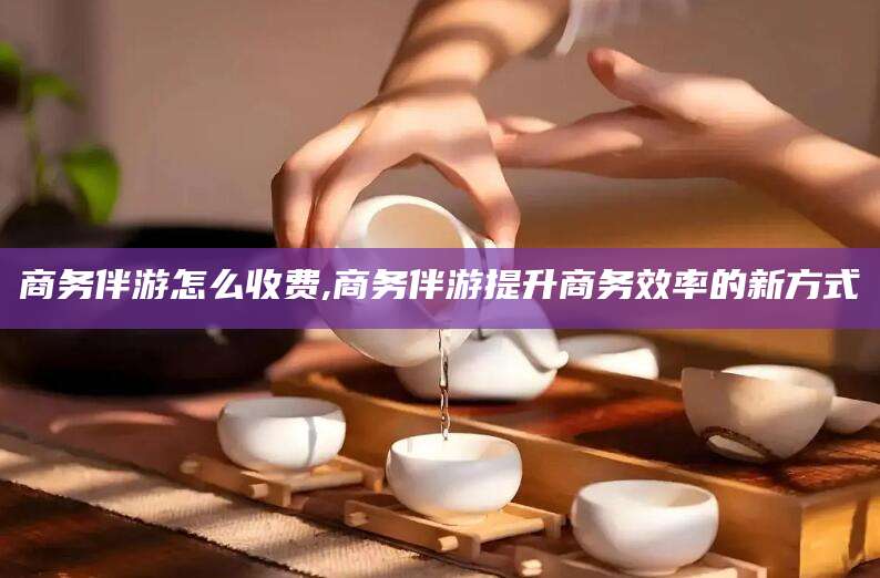 长兴商务伴游怎么收费,商务伴游提升商务效率的新方式