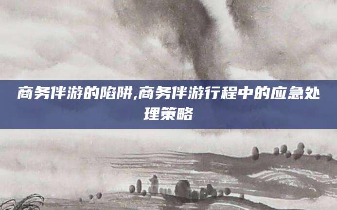 长兴商务伴游的陷阱,商务伴游行程中的应急处理策略